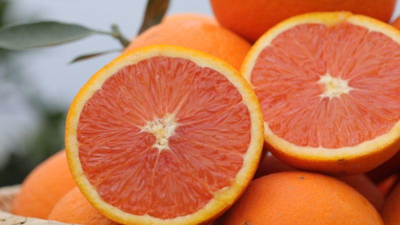 中华红橙优质果园供货现摘现发物美价廉货源充足欢迎采购