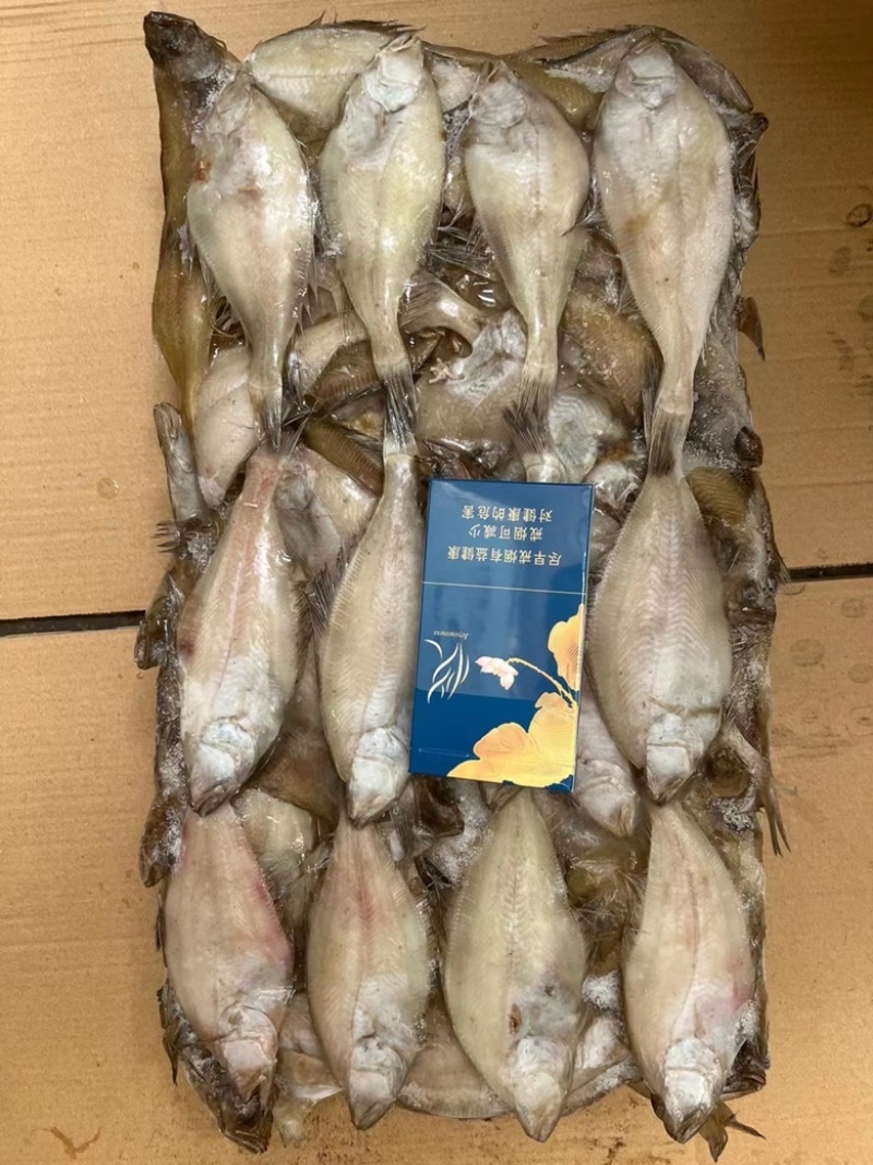 长脖鱼，片口鱼，价格便宜，欢迎老板骚扰咨询