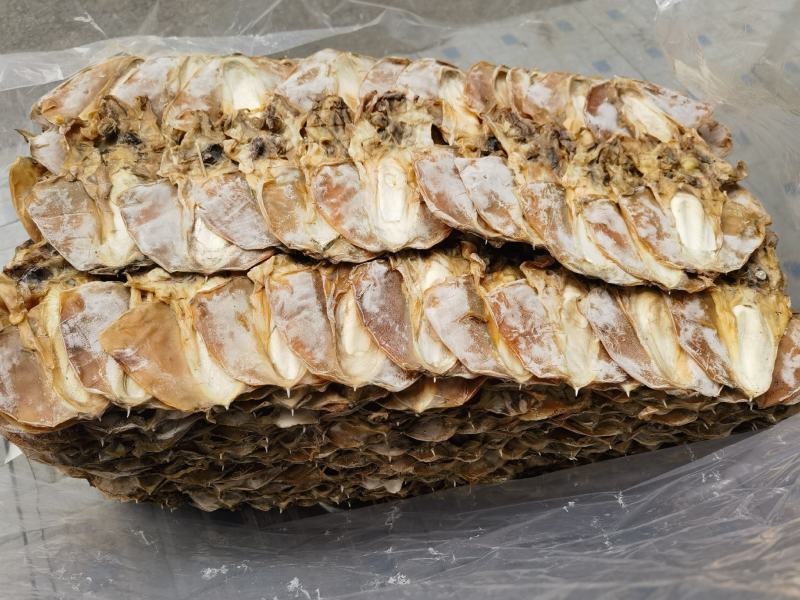 淡干墨鱼A11，产地直销，价格优惠