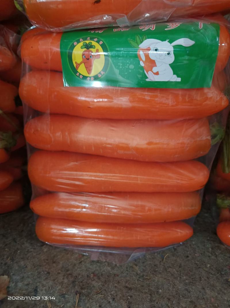 精品胡萝卜，大量有货，品质保证量大从优