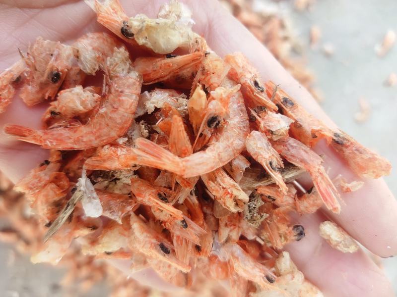 厂家直销饲料级烘干虾虾粉虾壳鸡鸭鹅鱼饲料水产