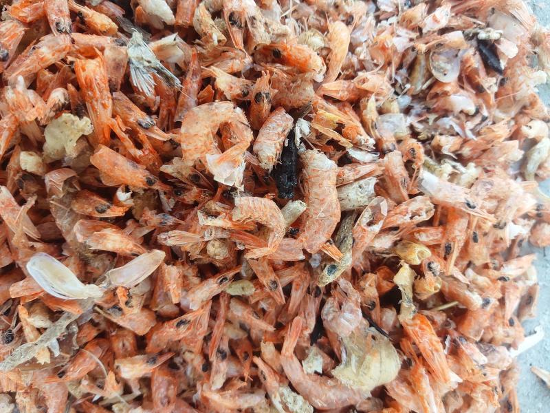 厂家直销饲料级烘干虾虾粉虾壳鸡鸭鹅鱼饲料水产