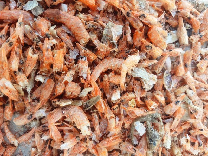 厂家直销饲料级烘干虾虾粉虾壳鸡鸭鹅鱼饲料水产