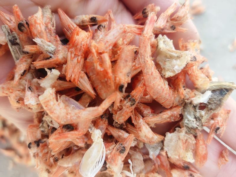 厂家直销饲料级烘干虾虾粉虾壳鸡鸭鹅鱼饲料水产