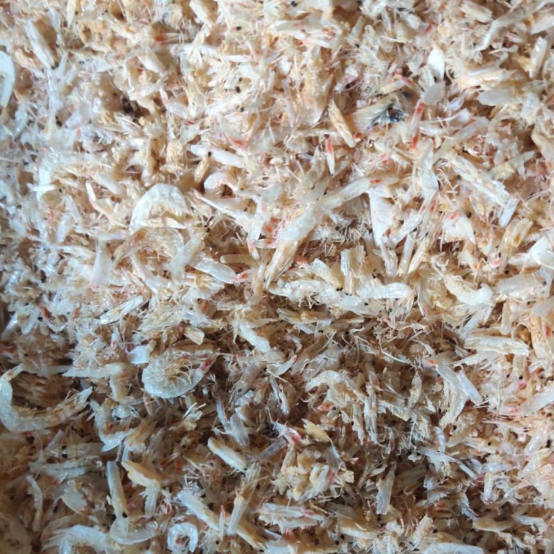 厂家直销饲料级小虾米虾粉水产鸡鸭鱼饲料海参呢