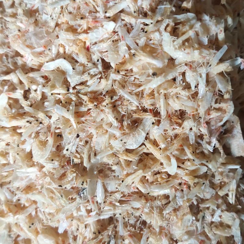 厂家直销饲料级小虾米虾粉水产鸡鸭鱼饲料海参呢