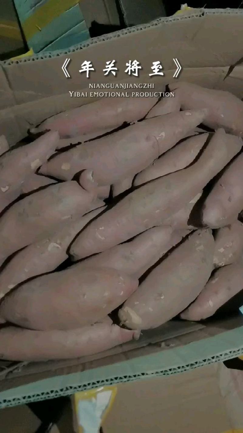 产地发货精品人工挑选龙九中瓜大瓜支持各种包装