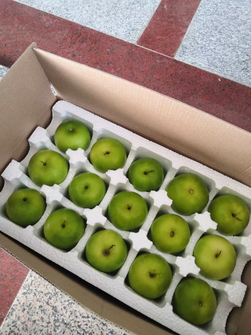 漳州牛奶枣贵妃枣精选大果脆甜多汁品质保证