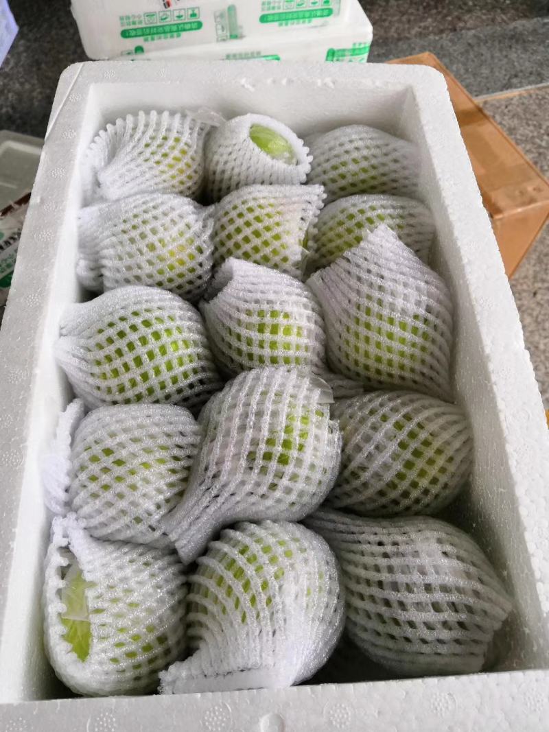 漳州牛奶枣贵妃枣精选大果脆甜多汁品质保证