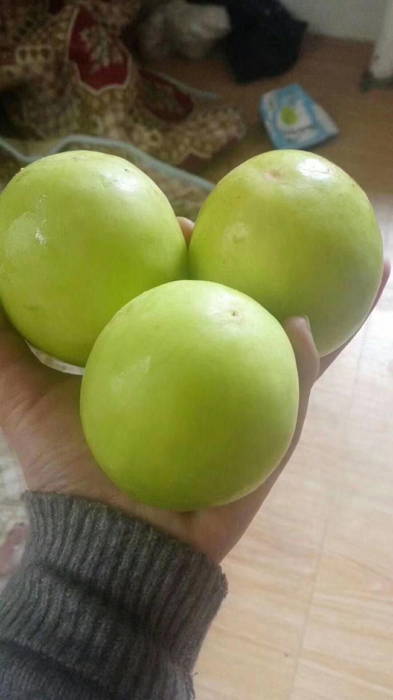 漳州牛奶枣贵妃枣精选大果脆甜多汁品质保证