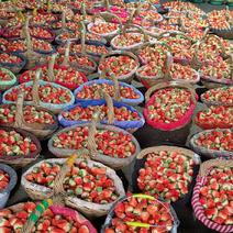 草莓产地，量大，果形好，口喊香甜！！