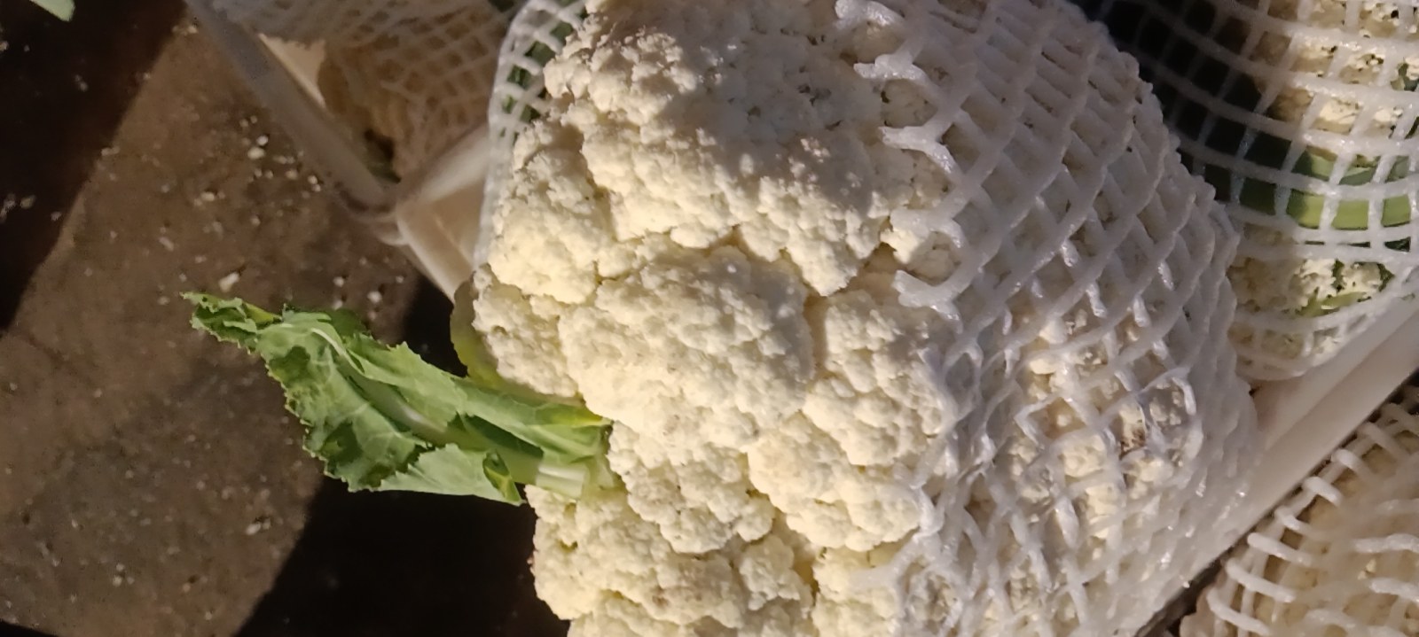 新鲜与变质菜花对比图