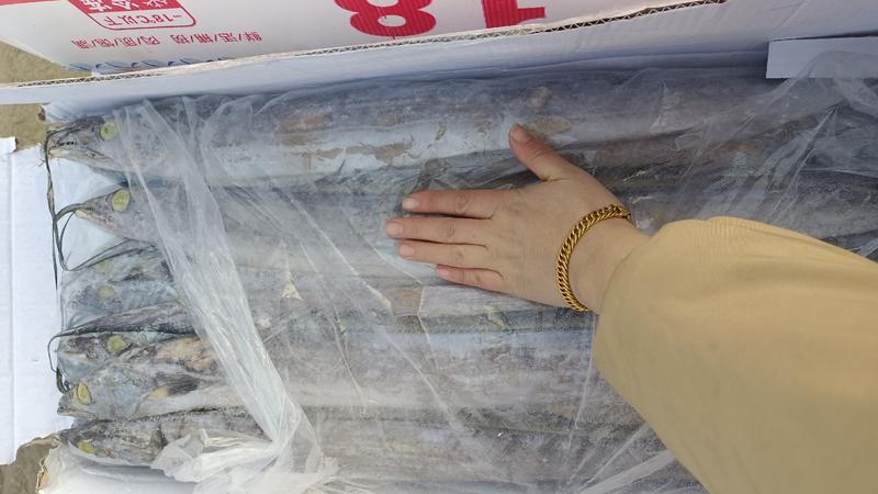 远洋大带鱼20斤一箱，全国冷链物流发货。