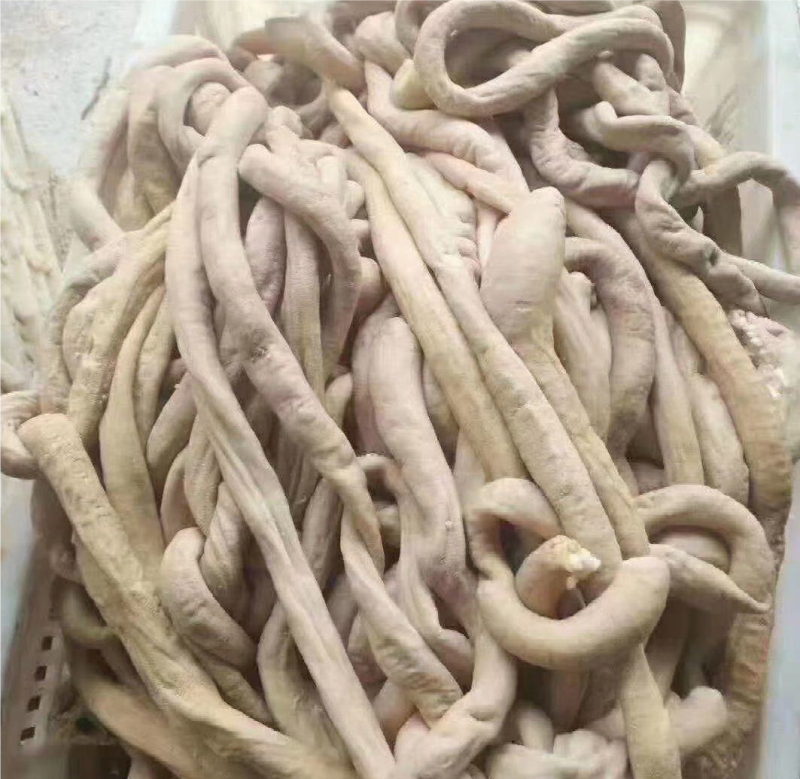 牛小肠，生小肠，火锅食材，厂家直销，欢迎进店选购