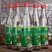 新品陈酿浓香型酒42度500ml12瓶包邮整箱破损包赔