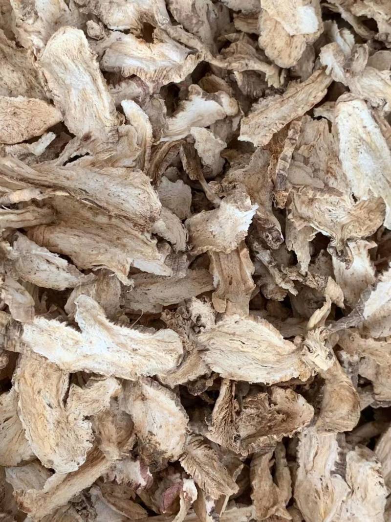 山海螺【包邮】三斤起发货可批量可零售量大从优