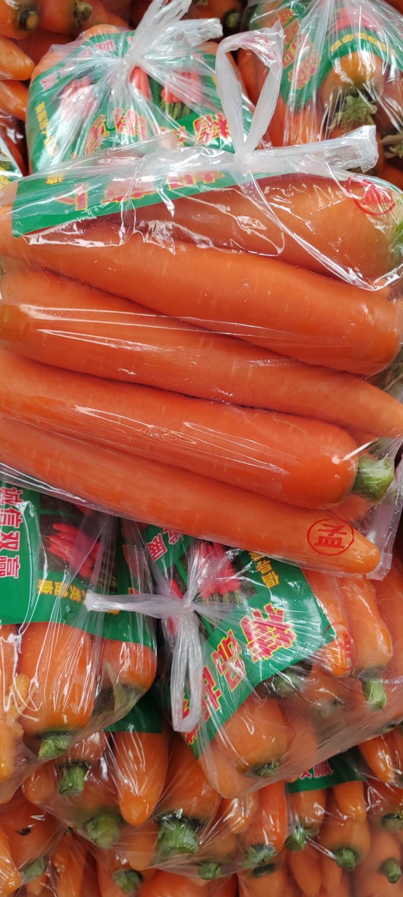 精品（三红萝卜）水洗中条市场超市