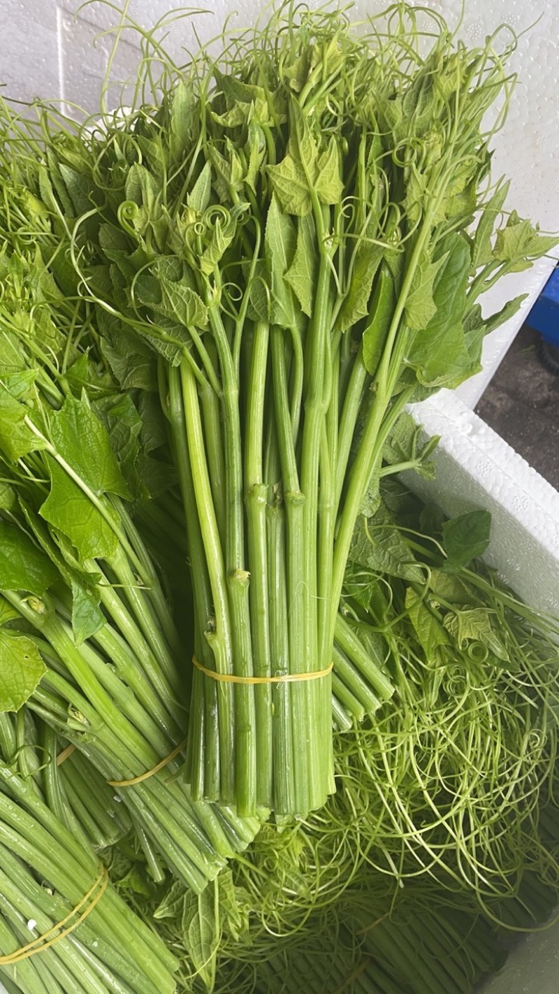 产地直发精品龙须菜，干水可以发空运和走汽运。
