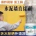 外墙漆防水防晒乳胶漆外墙防水涂料別墅耐久水泥墙硅藻内墙乳