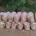 现挖新鲜黄皮黄心土豆希森荷兰沃土土豆四川五宝