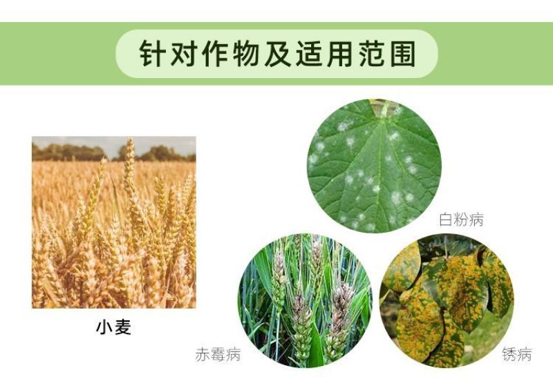 其美35%戊唑·福美双小麦白粉病锈病赤霉病农药杀菌剂