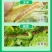 山东鲁抗8000IU/微升苏云金杆菌粘虫菜青虫农药杀虫剂