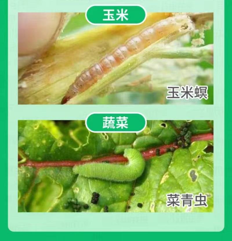 山东鲁抗8000IU/微升苏云金杆菌粘虫菜青虫农药杀虫剂