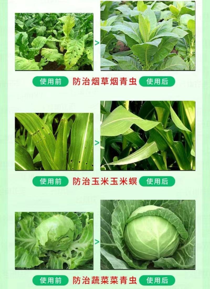 山东鲁抗8000IU/微升苏云金杆菌粘虫菜青虫农药杀虫剂