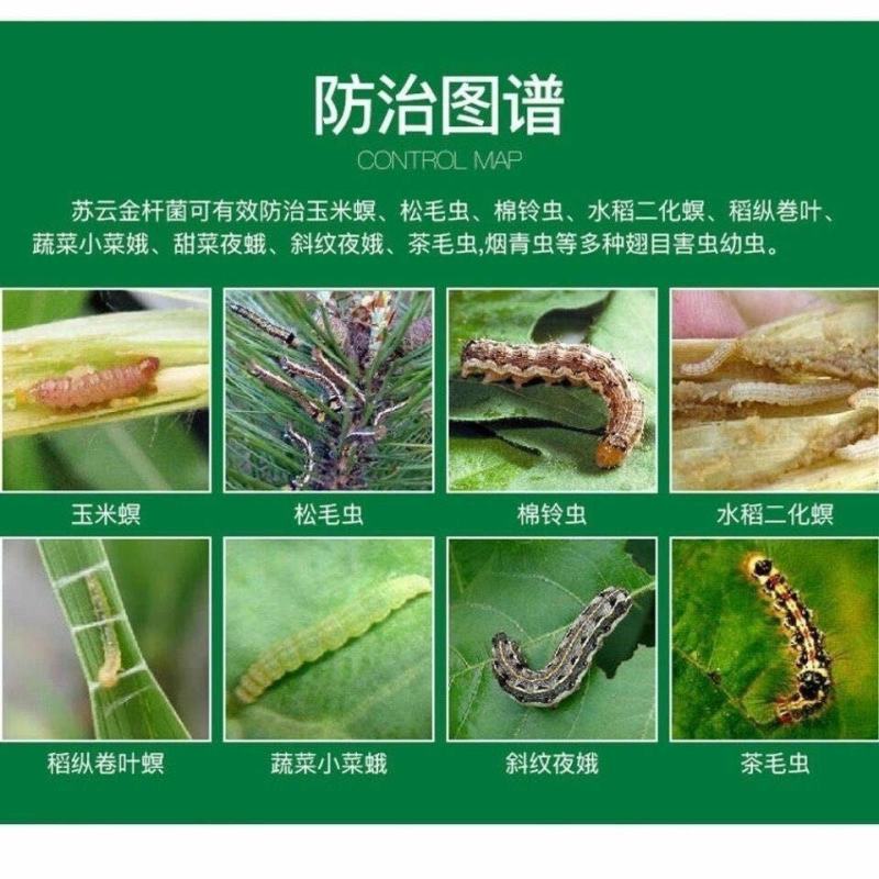 山东鲁抗8000IU/微升苏云金杆菌粘虫菜青虫农药杀虫剂