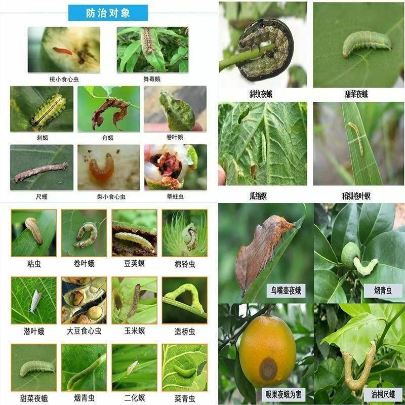 山东鲁抗8000IU/微升苏云金杆菌粘虫菜青虫农药杀虫剂