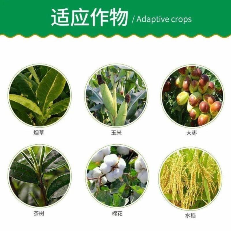 山东鲁抗8000IU/微升苏云金杆菌粘虫菜青虫农药杀虫剂