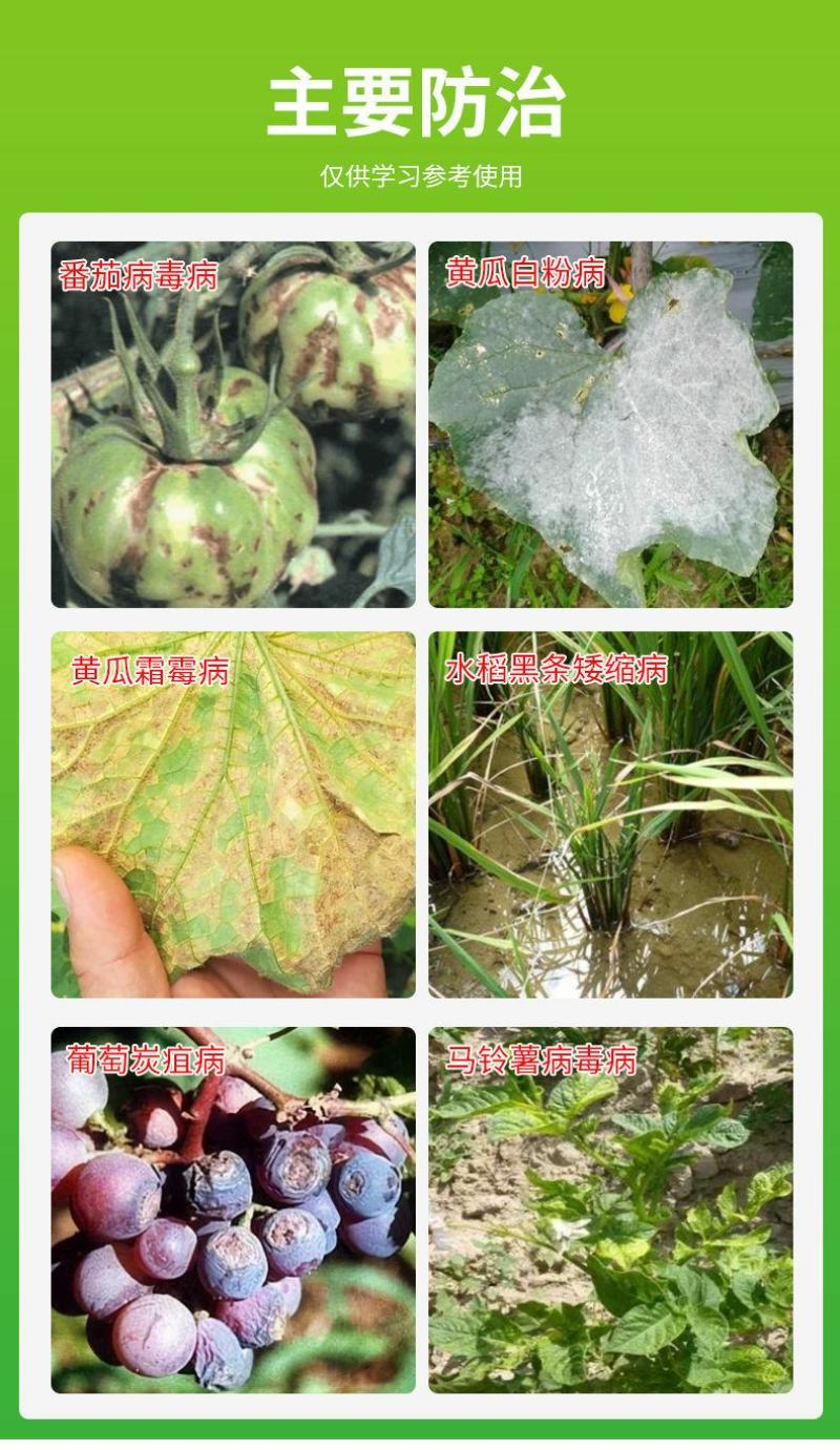 太抗几丁聚糖辣椒病毒病霜霉病灰霉病白粉病植物诱抗杀菌剂