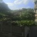 小驳骨
