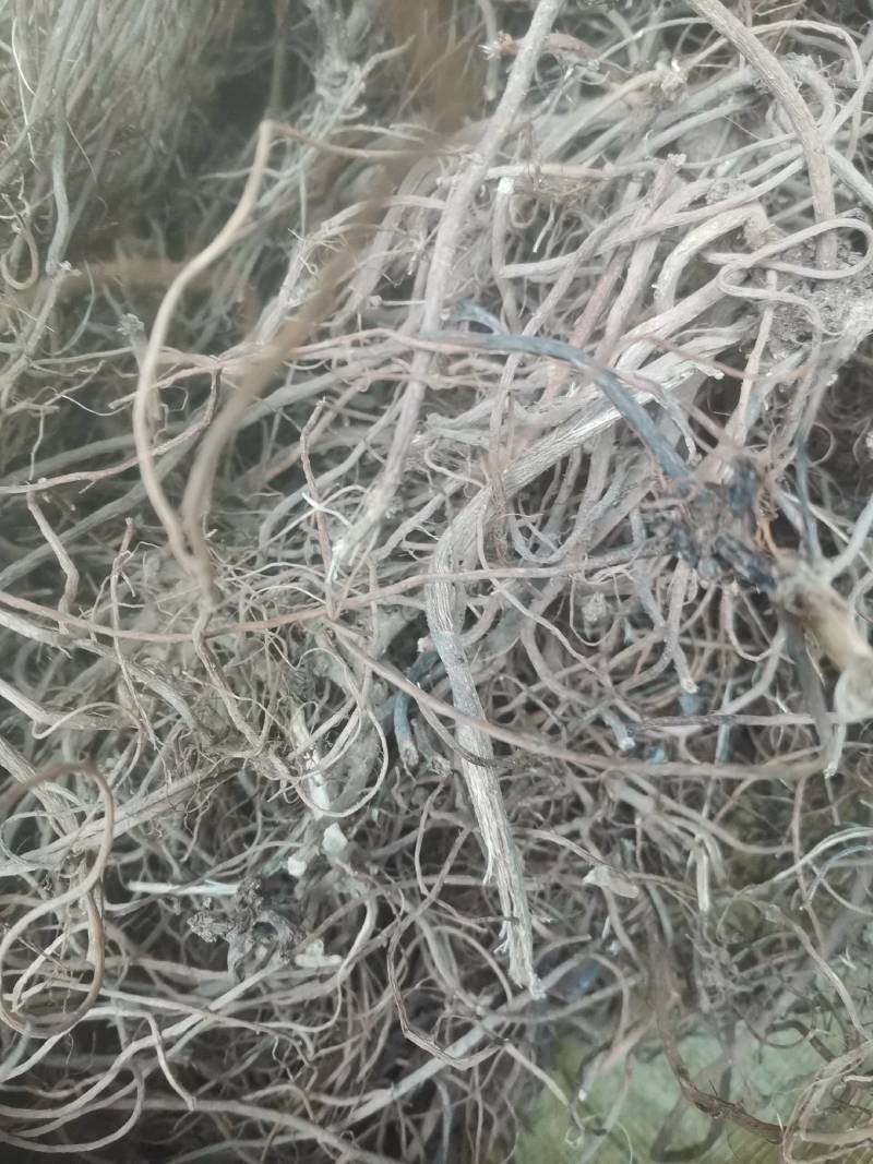 牛膝，川牛膝，野生货非人工种植，水洗晾干