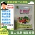小蜜蜂授粉膨大草莓葡萄番茄樱桃西瓜果树坐果灵