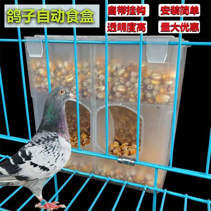鸽子食槽自动喂食器鸽子用品用具信鸽料盒鸽子笼食槽下