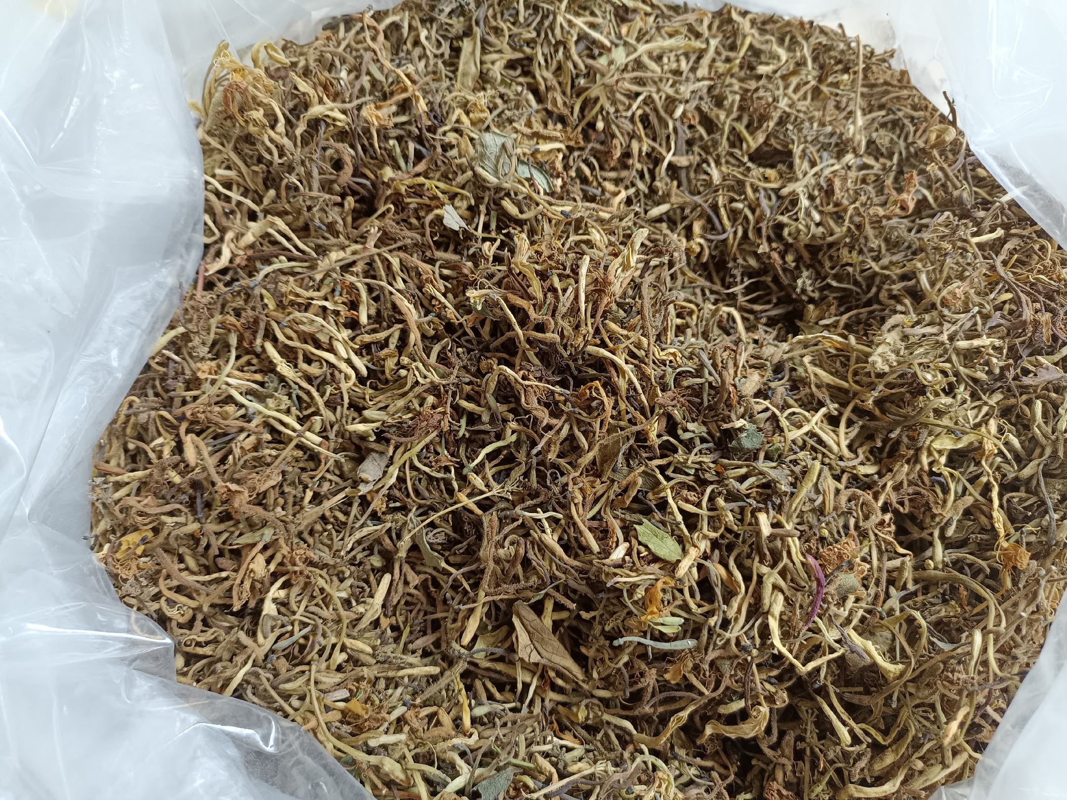 野菊花与杭白菊干品对比图