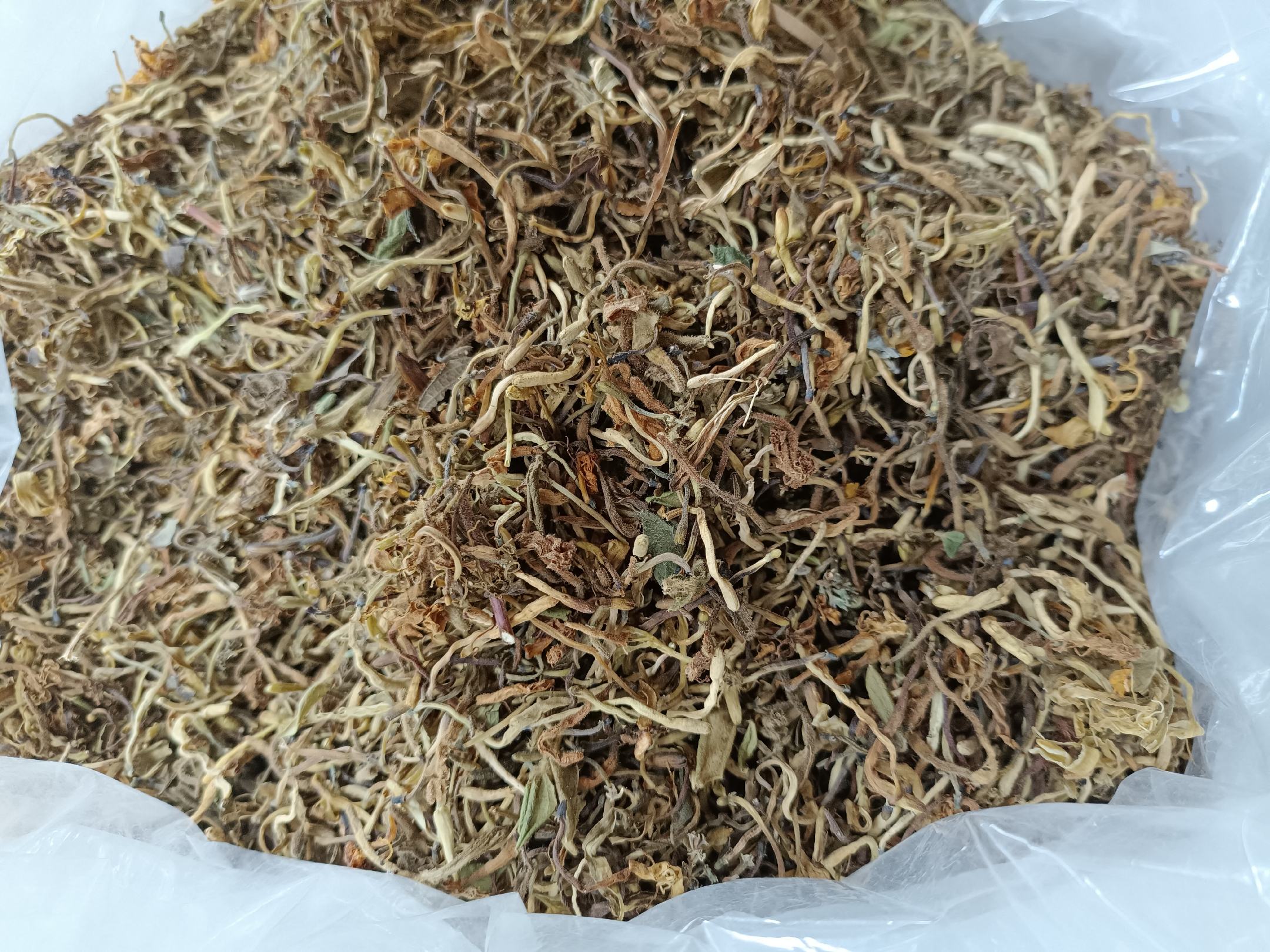 金虫草品质对比图