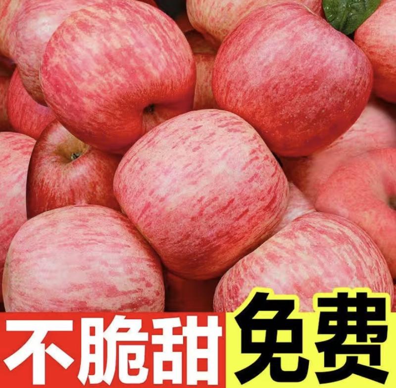 苹果【正宗红富士苹果】山区果口感脆甜产地直供常年供应