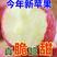 苹果【正宗红富士苹果】山区果口感脆甜产地直供常年供应