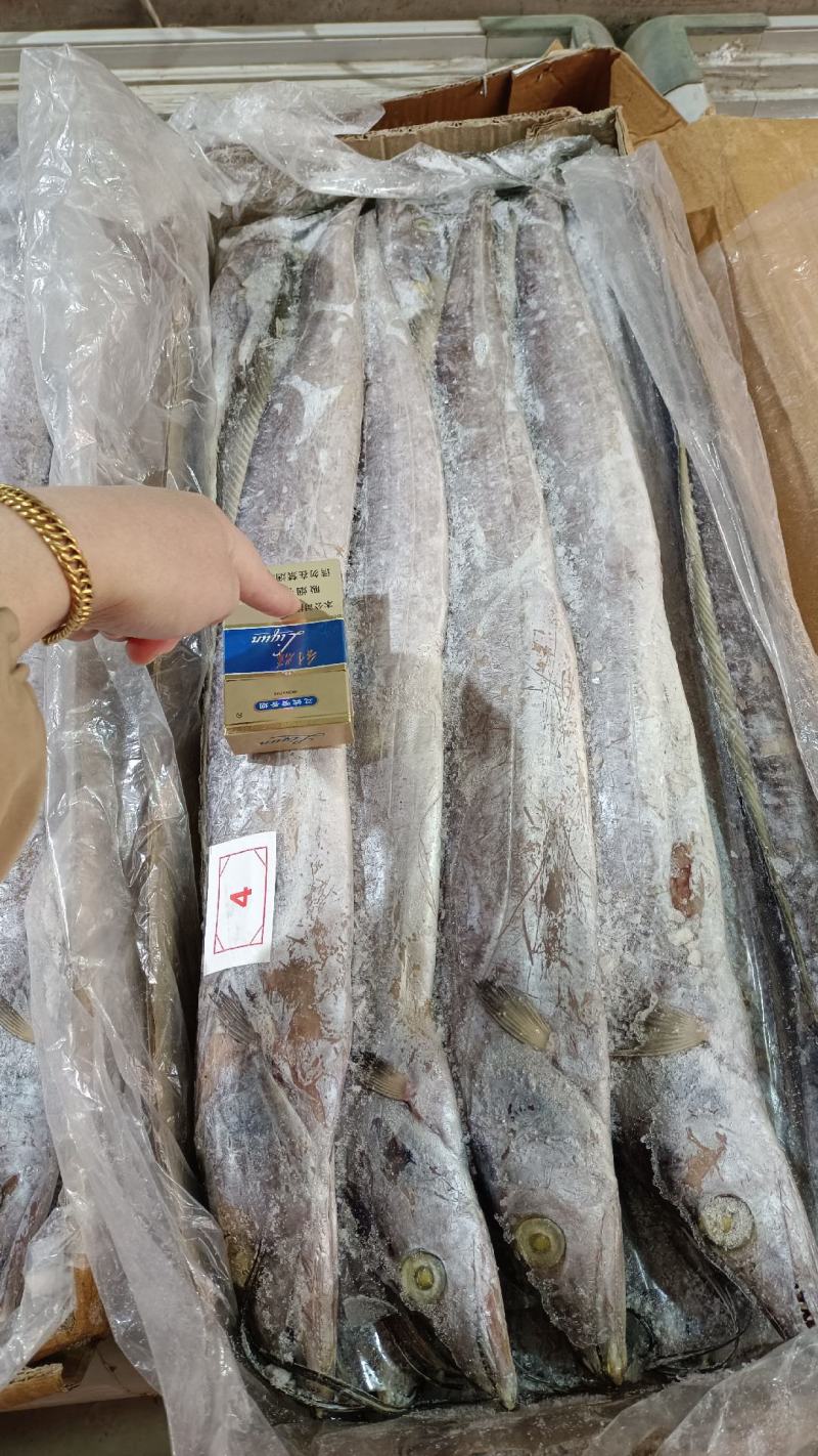 带鱼A带20斤一箱，批发价，全国冷链物流发货