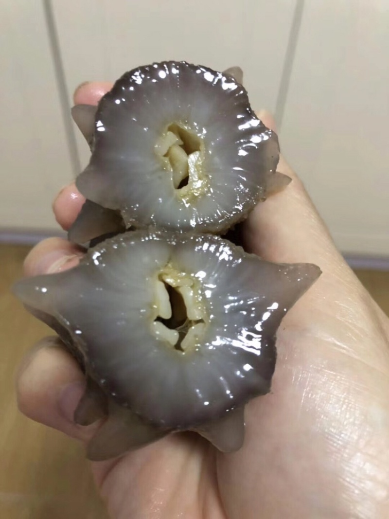 【精品】即食海参产地直发一手货源可供商超欢迎联系