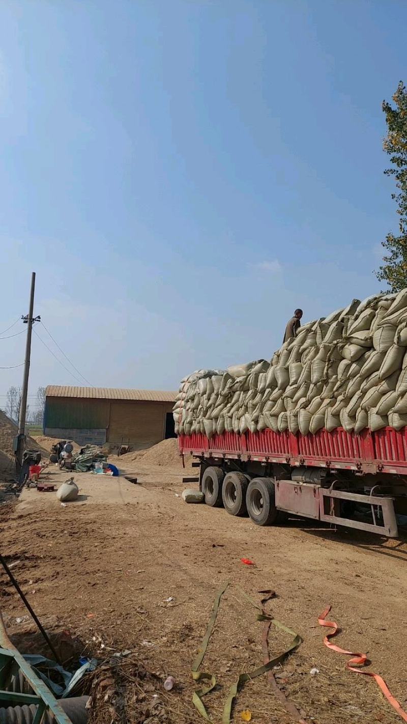 直供花生壳壳粉牛羊鸡鸭鹅饲料添加宠物垫料无土无杂