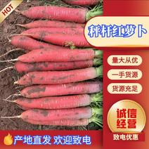 🔥陕西大荔精品水果红萝卜，带叶子🥕泥红萝卜