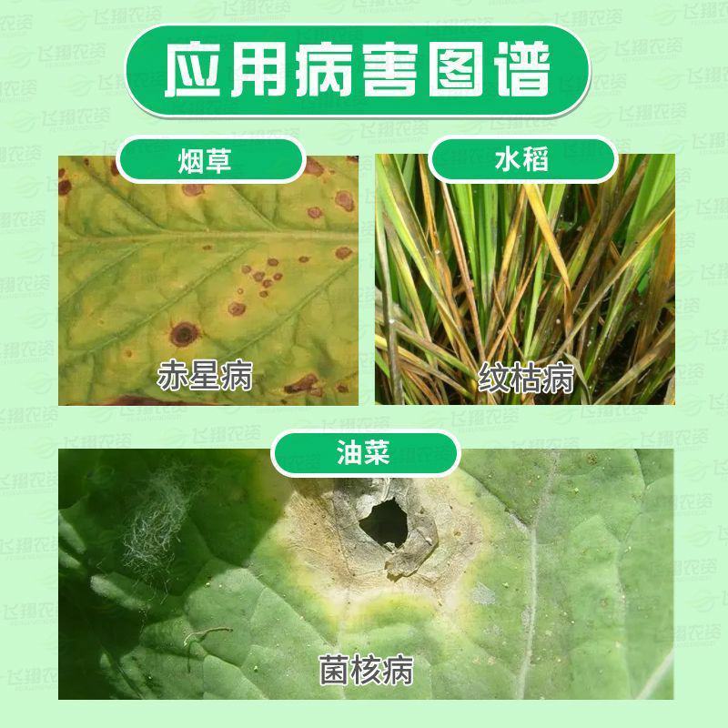 浙江斯佩斯40%菌核净烟草果蔬赤星病菌核病灰霉病农药杀菌