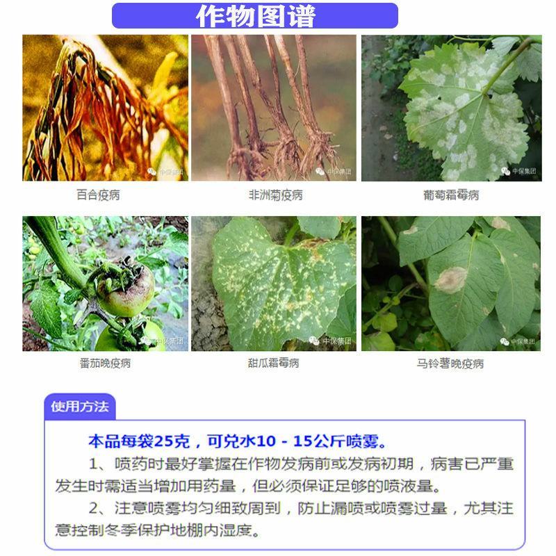 中保霜霉疫净霜脲锰蔬菜葡萄霜霉病疫病斑点腐烂杀菌剂25