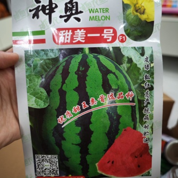 神奥甜美一号甜王西瓜种子，200粒，皮绿瓤红高产