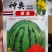 神奥果美西瓜种子，200粒，品质佳不易裂果