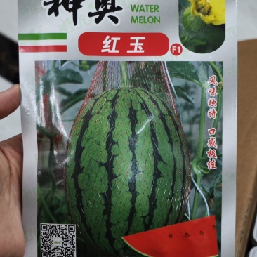 神奥早春红玉西瓜种子，200粒