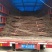 落羽杉小苗高度20厘米-300厘米基地一手货源